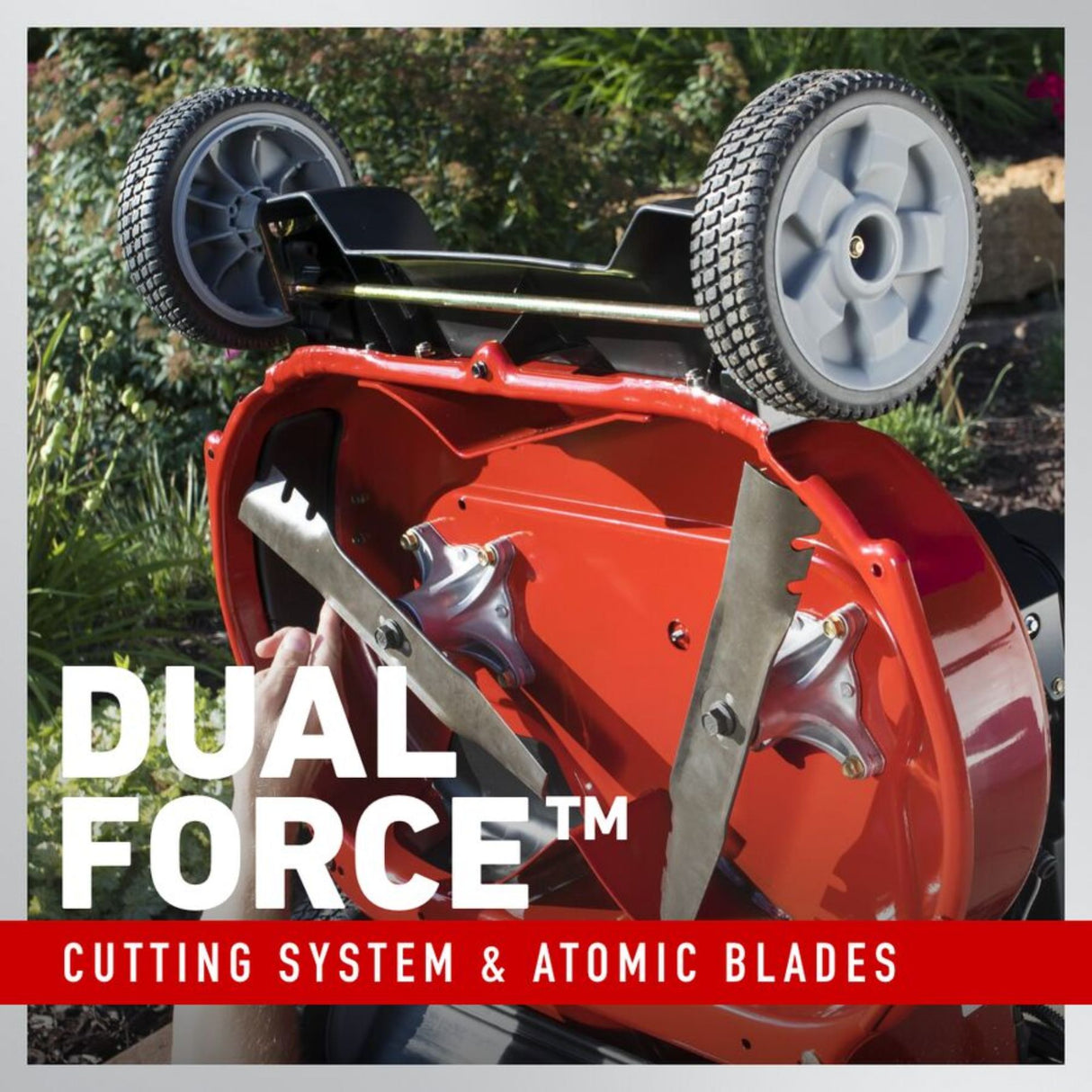 Toro TimeMaster | 30 in. Deck w/Personal Pace Gas Lawn Mower | Main Street Mower | Winter Garden | Clermont | Ocala