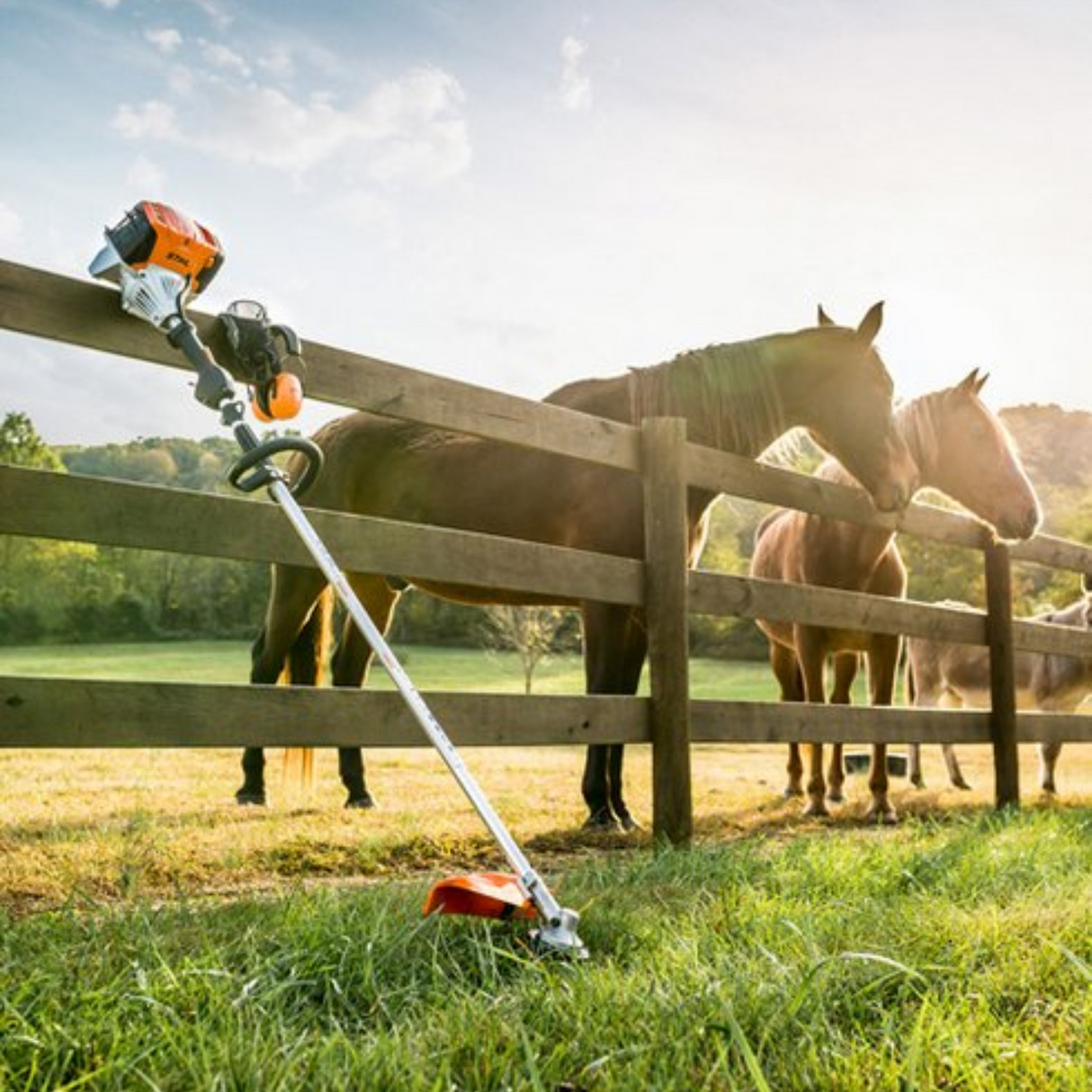 STIHL FS91R AUTO Gas Powered String Trimmer | Main Street Mower | Winter Garden | Clermont | Ocala