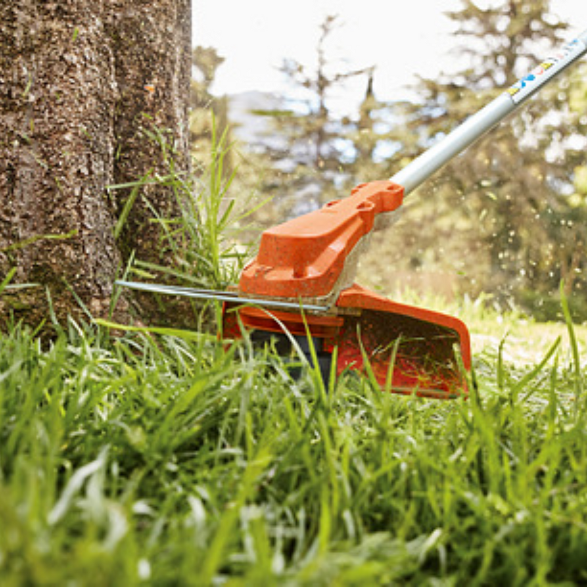 STIHL FSA 60 R Battery Powered Trimmer with EasySpool | Main Street Mower | Winter Garden | Clermont | Ocala