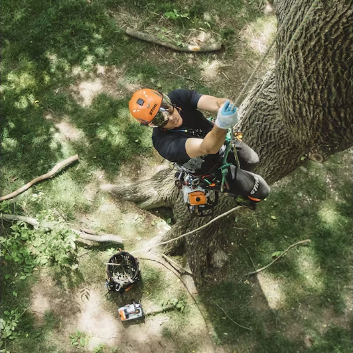 STIHL MS 194 T Gas Powered Chainsaw | Main Street Mower | Winter Garden | Clermont | Ocala