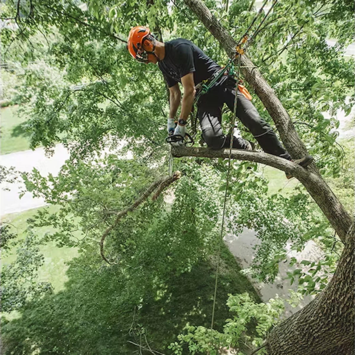 STIHL MS 194 T Gas Powered Chainsaw | Main Street Mower | Winter Garden | Clermont | Ocala