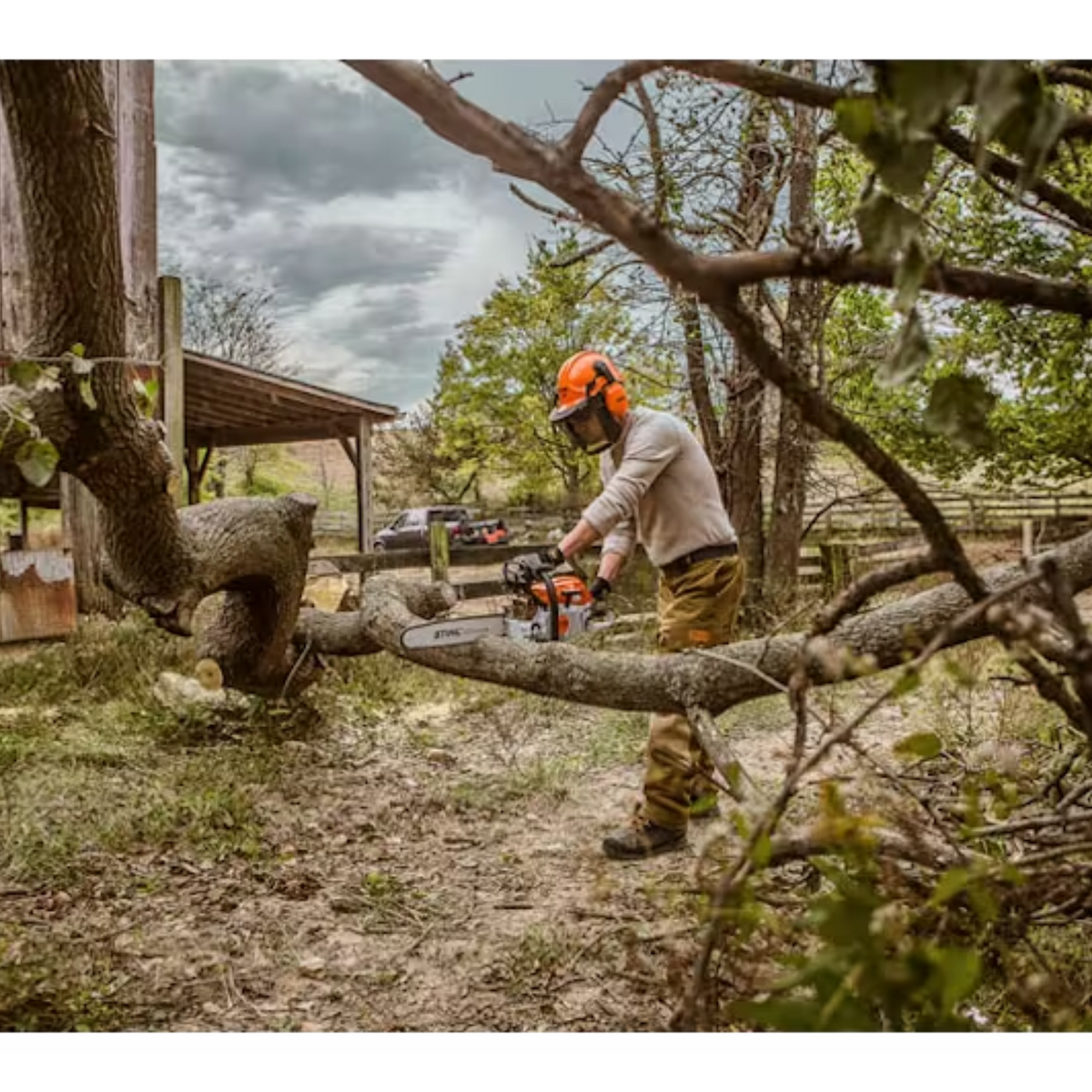 STIHL MS 261 C-M Gas Powered Chainsaw with M-Tronic | Main Street Mower | Winter Garden | Clermont | Ocala