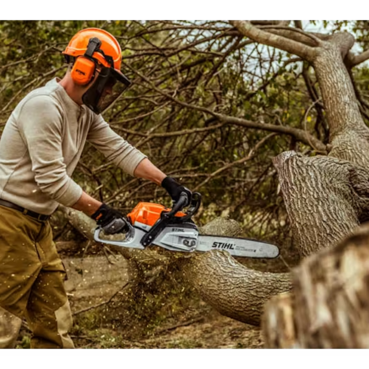 STIHL MS 261 C-M Gas Powered Chainsaw with M-Tronic | Main Street Mower | Winter Garden | Clermont | Ocala