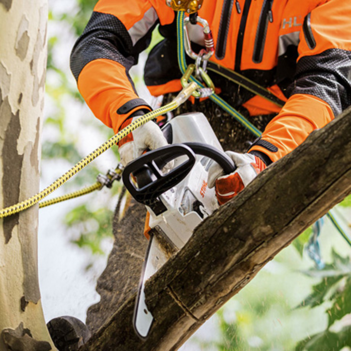 STIHL MSA 161 T Battery Powered Chainsaw with Quickstop | Tool Only | Main Street Mower | Winter Garden | Clermont | Ocala