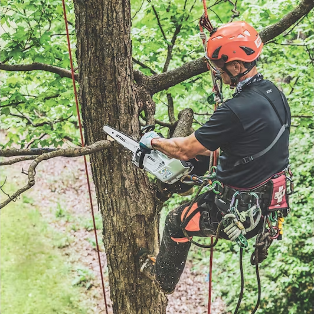 STIHL MSA 161 T Battery Powered Chainsaw with Quickstop | Tool Only | Main Street Mower | Winter Garden | Clermont | Ocala