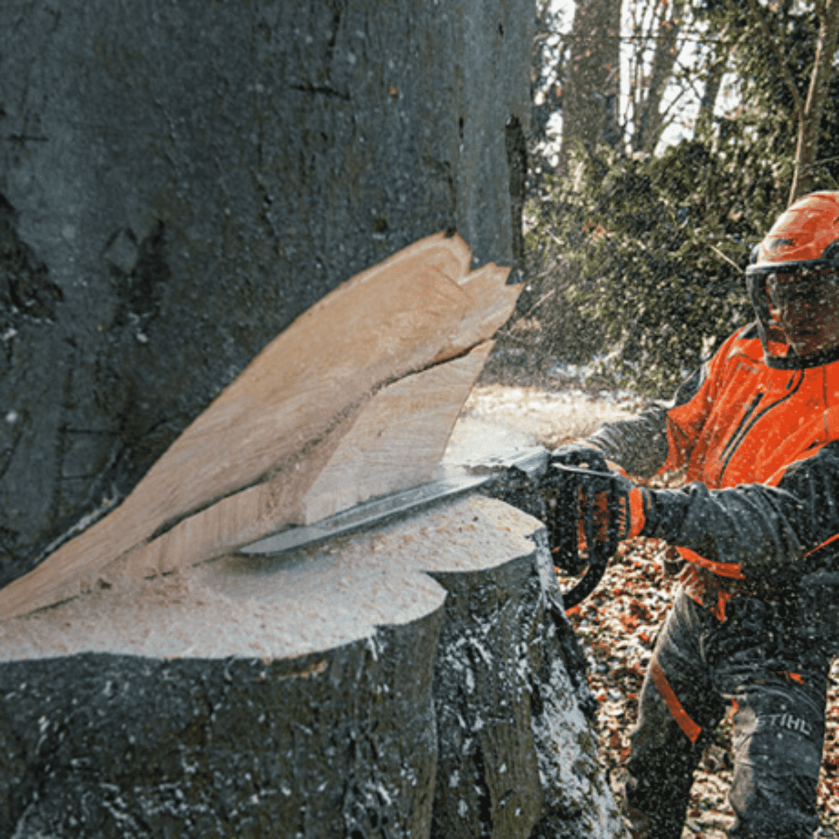 STIHL MS 661 MAGNUM Gas Powered Chainsaw | Main Street Mower | Winter Garden | Clermont | Ocala