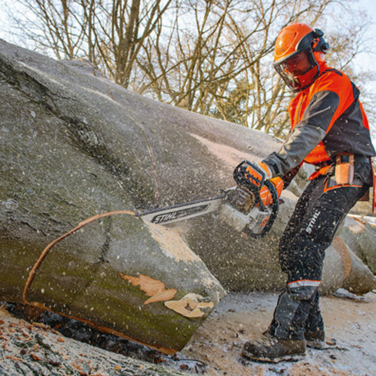 STIHL MS 661CM 36 Gas Powered Chainsaw with M-Tronic | Main Street Mower | Winter Garden | Clermont | Ocala