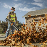 STIHL BR 700 Gas Powered Backpack Blower