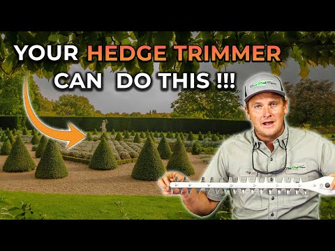 STIHL HSA 26 Garden Shears / Trimmer with Battery & Charger | Main Street Mower | Winter Garden | Clermont | Ocala