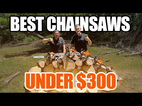 STIHL MS 172 C-E Gas Powered EasyStart Quickstop Chainsaw