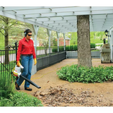 STIHL BGE 61 Handheld Electric Blower | Main Street Mower | Winter Garden | Clermont | Ocala