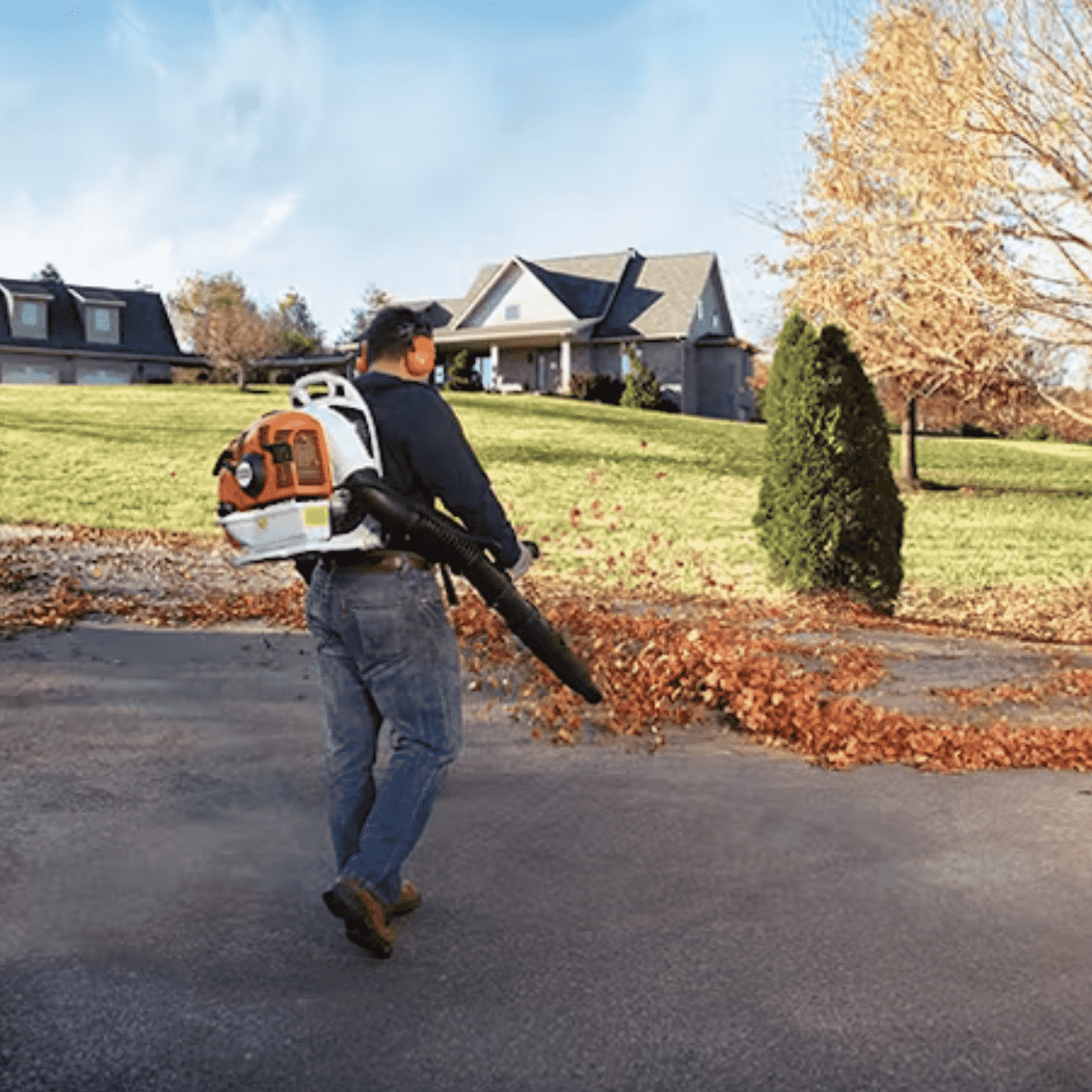 STIHL BR 430 Gas Powered Backpack Blower | Main Street Mower | Winter Garden | Clermont | Ocala