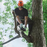 STIHL MS 151 T C-E Gas Powered Chainsaw Easy2Start | Main Street Mower | Winter Garden | Clermont | Ocala