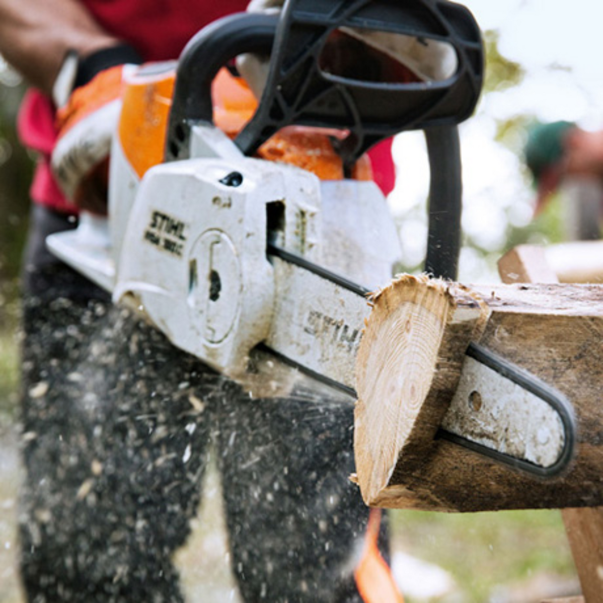 STIHL MSA 160 C-BQ Battery Powered Chainsaw with Quickstop | Main Street Mower | Winter Garden | Clermont | Ocala