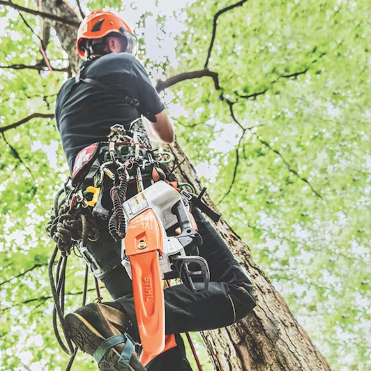 STIHL MSA 161 T Battery Powered Chainsaw with Quickstop | Tool Only | Main Street Mower | Winter Garden | Clermont | Ocala