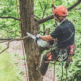 STIHL MSA 161 T Battery Powered Chainsaw with Quickstop | Tool Only | Main Street Mower | Winter Garden | Clermont | Ocala