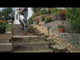 STIHL KM 94 R Multi-Task Tool | Main Street Mower | Winter Garden | Clermont | Ocala