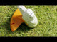 STIHL FSA 57 Battery Powered String Trimmer w/ AK 10 and AL 101 | Main Street Mower | Winter Garden | Clermont | Ocala