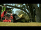 Dingo TX 427 Narrow Track Loader | Kohler Engine | 22321 | Main Street Mower | Winter Garden | Clermont | Ocala