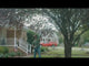 STIHL HTA 50 Battery Powered Pole Pruner - Tool Only | Main Street Mower | Winter Garden | Clermont | Ocala