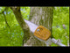 STIHL HT 56 C-E Gas Powered Pole Pruner with Easy2Start | Main Street Mower | Winter Garden | Clermont | Ocala