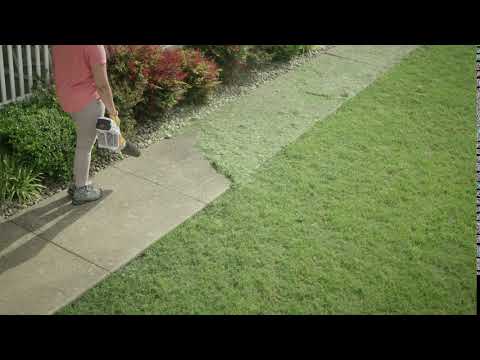 STIHL BGA 57 Battery Powered Handheld Blower | Main Street Mower | Winter Garden | Clermont | Ocala