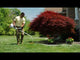 STIHL FSB-KM Curved Shaft Trimmer | 4137 740 5009 | Main Street Mower | Winter Garden | Clermont | Ocala