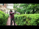 STIHL HLA 135 (145°) Battery Powered Hedge Trimmer | Tool Only | Main Street Mower | Winter Garden | Clermont | Ocala