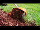 STIHL KM 94 R Multi-Task Tool | Main Street Mower | Winter Garden | Clermont | Ocala