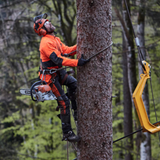 STIHL MS 661 MAGNUM Gas Powered Chainsaw | Main Street Mower | Winter Garden | Clermont | Ocala